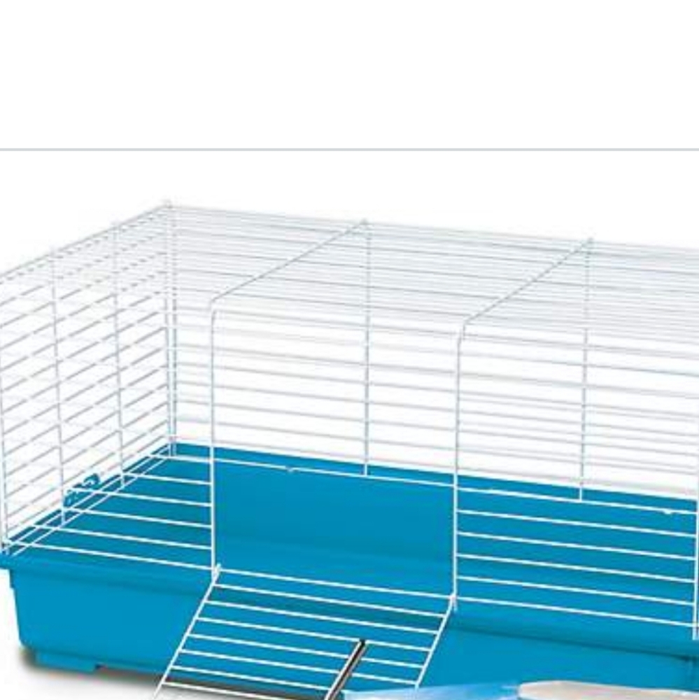 Guinea pigs cage